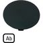 M22-XDP-S-D4 Button plate, mushroom black, AB thumbnail 3