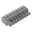 1-conductor female connector CAGE CLAMP® 2.5 mm² gray thumbnail 1