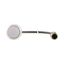 C22-DL-W-K10-24-P5 Illuminated pushbutton actuator, Flat, momentary, 1 N/O, Cable (black) with M12A plug, 4 pole, 1 m, LED white, White, Blank, 24 V AC/DC, Bezel: titani thumbnail 12