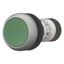 Pushbutton, flat, momentary, 1 N/O, green, Screw connection, Bezel: ti thumbnail 10