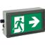 Ex-escape sign luminaires EX-LITE V-CG-S for emergency light function for zone 1/21, Pictogram: DIN ISO 7010, Arrow: 3 Clock thumbnail 2