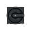 P3 Main switch, 80 A,Flush mounting, 4 pole, Form EA/SVB, Black, Door  thumbnail 2