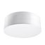 CEILING LAMP ARENA 25 WHITE E27 1X60W IP20 thumbnail 2