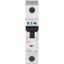 Miniature circuit breaker (MCB), 4 A, 1p, characteristic: B thumbnail 1