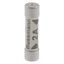 Fuse-link, Overcurrent NON SMD, 2 A, AC 240 V, BS1362 plug fuse, 6.3 x 25 mm, gL/gG, BS thumbnail 11