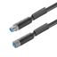 Power cable, Connecting line, M12 / M12, Number of poles : 5 (4 + PE), 5 m, pin, straight - socket, straight, Shielded: No, LED: No, Sheath material: PUR, Halogen: No thumbnail 1