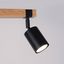Ceiling lamp FAGER 2 black thumbnail 8