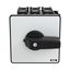 P3 Main switch, 80 A,Rear mounting, 3 pole, Form Z, Black, Door coupli thumbnail 6