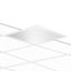 PLATE 600 MP 28.5 940 UGR thumbnail 2