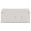 End and intermediate plate 2.5 mm thick light gray thumbnail 2