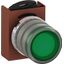 P9MPNRS029 Pushbutton thumbnail 2