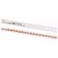 Z-SV-10/1P+N-F/18 Horizontal busbar, 10mm², 1P+N thumbnail 1
