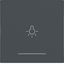 Rocker single with light symbol imprint, clear lens, A.x/C.x, anthracite thumbnail 1