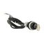 C22-WS-MS1-K11-P62 Key-operated actuator, RMQ compact solution, momentary, 1 NC, 1 N/O, Cable (black) with non-terminated end, 4 pole, 1 m, 2 positions, MS1, Bezel: tita thumbnail 11