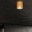 CEILING LAMP MICA GOLD GU10 1X10W IP20 thumbnail 3