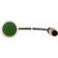 C22-D-G-K10-P3 Pushbutton, Flat, momentary, 1 N/O, Cable (black) with M12A plug, 4 pole, 0.5 m, green, Blank, Bezel: titanium thumbnail 2