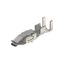 PCB plug-in connector, Crimp contact, Contact, tinned, Max. clamping range : 1 mm² thumbnail 1