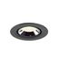 NUMINOS® GIMBLE XS 4000K 40° black/chro. thumbnail 2