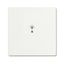 SRB-1-884 Electronic Controls free@home studio white matt - 63x63 thumbnail 5