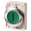 M30I-FDRL-G-X1 Illuminated pushbutton actuator, RMQ-Titan, flat, maintained, green, inscribed, Front ring stainless steel thumbnail 1