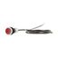 C22-DRL-R-K01-24-P65 Illuminated pushbutton actuator, classic, flat, maintained, 1 N/C, red, 24 V AC/DC, cable (black) with non-terminated end, 4 pole, 3.5 m thumbnail 12
