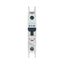 Miniature circuit breaker (MCB), 30 A, 1p, characteristic: D thumbnail 14