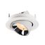 NUMINOS® GIMBLE S 2700K 40° white/chrome thumbnail 1