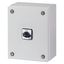 T3-3-8342/SE2 T3, 32 A, surface mounting, 3 contact unit(s), 90 °, maintained, 0-1, in steel enclosure, Design number 8342 thumbnail 5