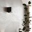 LUCA WALL LAMP BLACK LED IP54 LED thumbnail 6