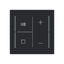 LFMW/A.4.70.1-45M Cover plate with legend with Symbols "music control" black matt - Trevion® thumbnail 1