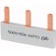 Phase busbar with 3x pins, 1-phase, insulated, straight thumbnail 1