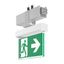 LINEDO, silver, on/off Continuous line luminaire, L 336 B 62 H 343, SB thumbnail 2