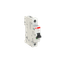 MD99 thumbnail 2