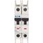 Miniature circuit breaker (MCB), 30 A, 2p, characteristic: C thumbnail 2