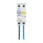 RCD/MCB combination switch 6kA 1P+N 16A B-kar 300mA FLEX aside thumbnail 3