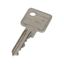 KEY-E10/30-GS Spare key PHZ common locking thumbnail 2