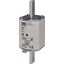 NH1/WT-1 gF 100A/500V thumbnail 2
