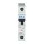Miniature circuit breaker (MCB), 40 A, 1p, characteristic: Z thumbnail 11