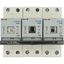 Fuse switch-disconnector, LPC, 25 A, service distribution board mounting, 3 pole, DII thumbnail 15