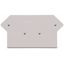End and intermediate plate 2.5 mm thick light gray thumbnail 1