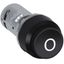 MODULAR DIVIDER 160A 4P W=163.2MM thumbnail 59