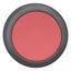 M22S-D-R Pushbutton, RMQ-Titan, Flat, momentary, red, Blank, Bezel: black thumbnail 5