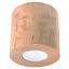 SPOT ORBIS NATURAL WOOD GU10 1X40W IP20 thumbnail 1