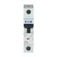 Miniature circuit breaker (MCB), 2 A, 1p, characteristic: C thumbnail 13