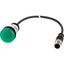 C22-L-G-24-P1 Indicator light, Flat, Cable (black) with M12A plug, 4 pole, 0.2 m, Lens green, LED green, 24 V AC/DC thumbnail 2