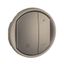 COVER FOR DIMMER 1-10V WITH NEUTRAL TITANIUM CELIANE thumbnail 2