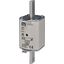 NH1/WT-1 gF 80A/500V G thumbnail 2
