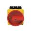 P3 Main switch, 80 A,Rear mounting, 3 pole, Form V/SVB, Red, Door coup thumbnail 4