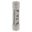 Fuse-link, Overcurrent NON SMD, 2 A, AC 240 V, BS1362 plug fuse, 6.3 x 25 mm, gL/gG, BS thumbnail 27