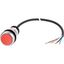 C22-D-R-K01-P65 Pushbutton, Flat, momentary, 1 NC, Cable (black) with non-terminated end, 4 pole, 3.5 m, red, Blank, Bezel: titanium thumbnail 5